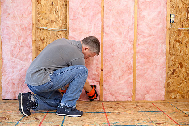Best Insulation for Specific Applications in Ridgeway, AK